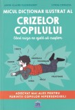 Anne-Claire Kleindienst, Lynda Corazza - Micul dictionar ilustrat al crizelor
