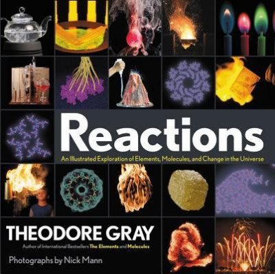 Reactions: An Illustrated Exploration of Elements, Molecules, and Change in the Universe foto