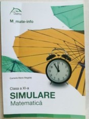 Simulare matematica clasa a XI-a Camelia Maria Magdas