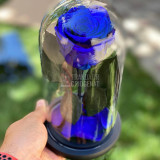 Cumpara ieftin Trandafir criogenat albastru &Oslash;6,5cm in cupola sticla 10x20cm