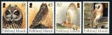 FALKLAND 2004 FAUNA PASARI BUFNITE