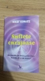 Robert Schwartz - Suflete curajoase