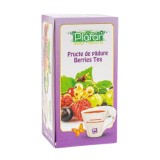 Ceai de fructe de padure, 20 plicuri, Plafar