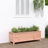 VidaXL Strat &icirc;nălțat de grădină, 119,5x40x39 cm, lemn masiv Douglas 825266