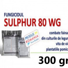 Fungicid Sulphur 80 WG 300 gr