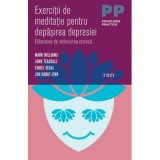 Exercitii de meditatie pentru depasirea depresiei. Eliberarea de nefericirea cronica - Mark Williams