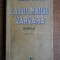 Damian Stanoiu - Cazul maicii Varvara