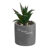 Ghiveci Decorativ din Ciment cu Planta Artificiala si Pietris, Mesaj Life Breath Together, &Oslash;6x12cm, CMCLASS