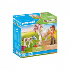 Playmobil - Cal Cu Manz