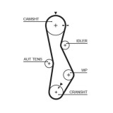 Curea distributie Hyundai: Accent 2, Elantra 3, Getz, I30, Matrix, Santa Fe, Sonata V, Trajet, Tucson; Kia Carens 2, Carens 3, Ceed, Cerato, Magentis