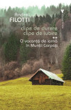 O vacanță de iarnă &icirc;n Munții Carpați. Clipe de durere. Clipe de iubire (Vol. 2) - Paperback brosat - Andrei Filotti - Vremea