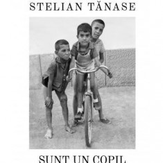 Sunt un copil al Războiului Rece - Paperback brosat - Stelian Tănase - Corint