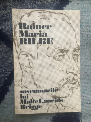 d4 Insemnarile lui Malte Laurids Brigge - Rainer Maria Rilke foto