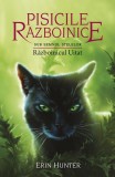 Pisicile războinice. Sub semnul stelelor. Războinicul Uitat (Vol.23) - Erin Hunter