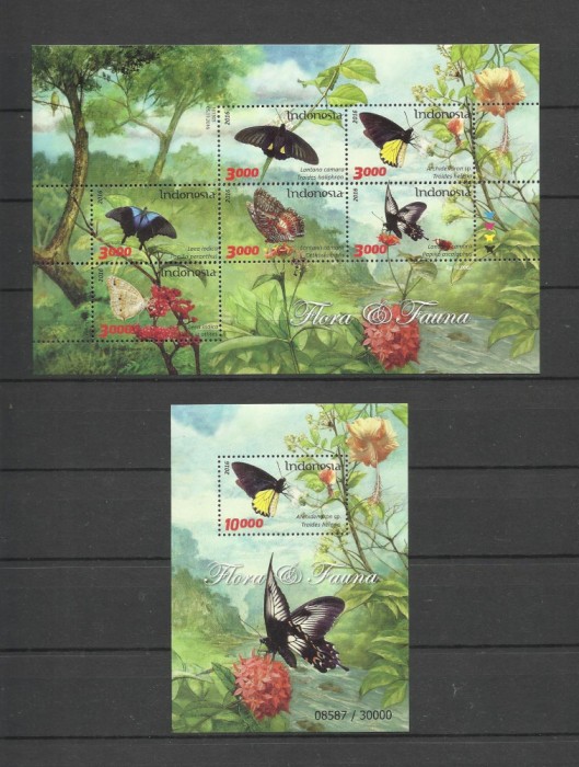 INDONESIA 2016 FAUNA INSECTE FLUTURI