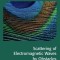 Scattering of Electromagnetic Waves by Objects