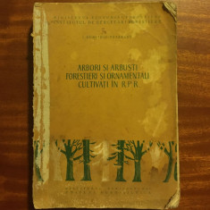 I. Dumitrescu-Tataranu - Arbori si Arbusti Forestieri si Ornamentali (1960)