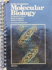 Basic Methods In Molecular Biology - Leonard G. Davis , C817