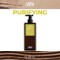 Mască tonifiantă purifiant pentru scalp TRICOILOGY SCALP PURIFYING &ndash; Shot &ndash; 500 ml