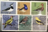 Timbre - Polonia Polska - >50 - Serie - Tematica Animale