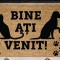 COVORAS INTRARE 60X40 CM, PAWS