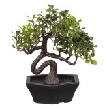 Planta Artificială Decorative, Bonsai, Ghiveci Hexagonal, Plastic, Negru, 11cm, Oem