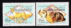 MAURITANIA 1991 CAINI SI PISICI foto