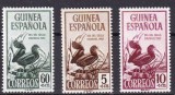 Guineea spaniola 1952 fauna pasari MI 283-285 MNH