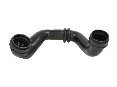 Palnie, filtru de aer RENAULT SCENIC I (JA0/1) (1999 - 2003) THERMOTEC DCR063TT foto