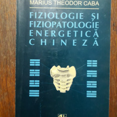 Fiziologie si fiziopatologie energetica chineza - Teodor Caba / R6P4S