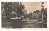 SV * Scarisoara *DRUMUL SPRE PESTERA SCARISOARA * FOTO 1942 WWII * CENZURA SIBIU, Circulata, Fotografie, Printata, Alba Iulia