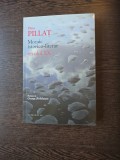 Mozaic istoric-literar secolul XX - Dinu Pillat