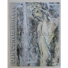 ALBUM DE PICTURA , DAN CONSTANTINESCU