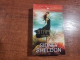 Stapanul jocului de Sidney Sheldon