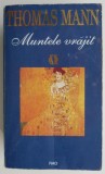 Muntele vrajit &ndash; Thomas Mann