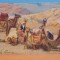EGIPT - ALEXANDRIA - CARAVANA CU BEDUINI - 1913 - CIRCULATA.