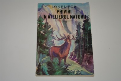 Priviri in atelierul naturii - Ionel Pop foto