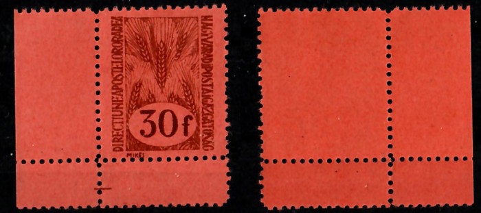 ROMANIA 1945 Oradea II timbru 30f dantelat cu punte atasata si margine de coală MNH