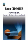 Penumbra. Eseuri de istorie a culturii | Radu Ciobotea, Junimea