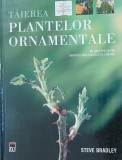 Taierea plantelor ornamentale. Un ghid pas cu pas pentru a taia plantele de gradina - Steve Bradley