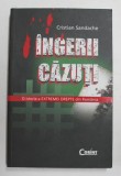 INGERII CAZUTI - O ISTORIE A EXTREMEI DREPTE IN ROMANIA de CRISTIAN SANDACHE , 2010