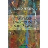 P&aacute;lyak&eacute;p a szociol&oacute;gia sodr&aacute;s&aacute;ban - Gazs&oacute; Ferenc