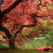 Fototapet autocolant Pom cu frunze rosii, 300 x 200 cm