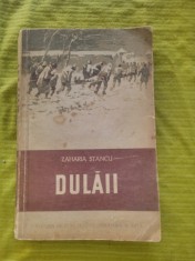 Dulaii-Zaharia Stancu foto