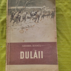 Dulaii-Zaharia Stancu