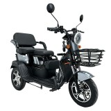 Triciclu Locuri Ajustabile - 1000w / 60v / 20ah / Gri