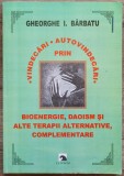 Vindecari, autovindecari prin terapii alternative - Gheorghe I. Barbatu