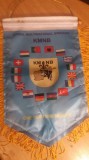 D9 M5 24 - fanion - militar - Misiuni militare romanesti in Afganistan si Europa