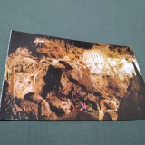 Cumpara ieftin CARTE POSTALA BIHOR-PESTERA URSILOR CHISCAU NECIRCULATA