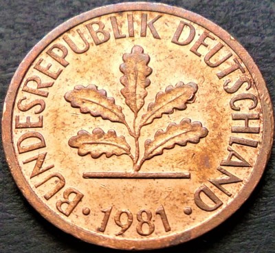Moneda 1 PFENNIG - RF GERMANIA, anul 1981 * cod 126 B - litera D foto